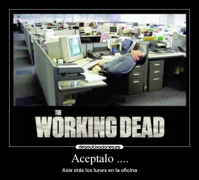 Aceptalo .... - Asíe stás los lunes en la oficina