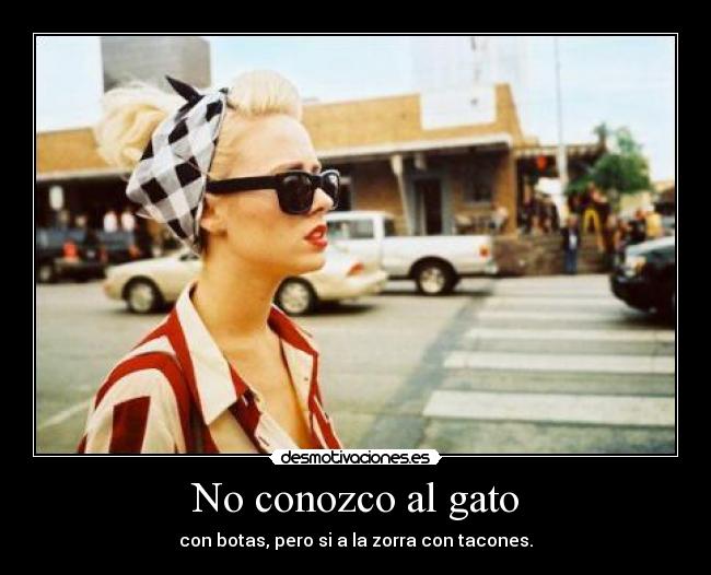 No conozco al gato - con botas, pero si a la zorra con tacones.