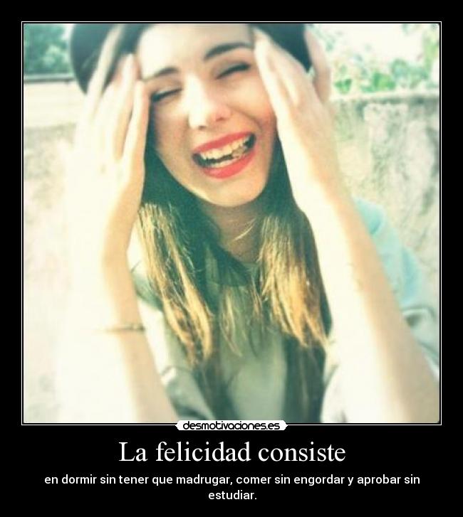La felicidad consiste -