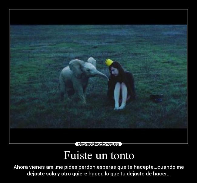 carteles tonto fuiste tonto desmotivaciones