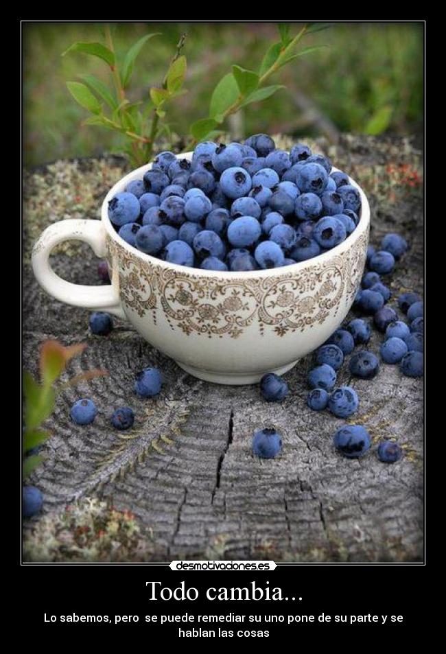 Todo cambia... - 