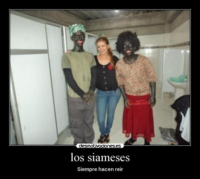 carteles chuwill desmotivaciones