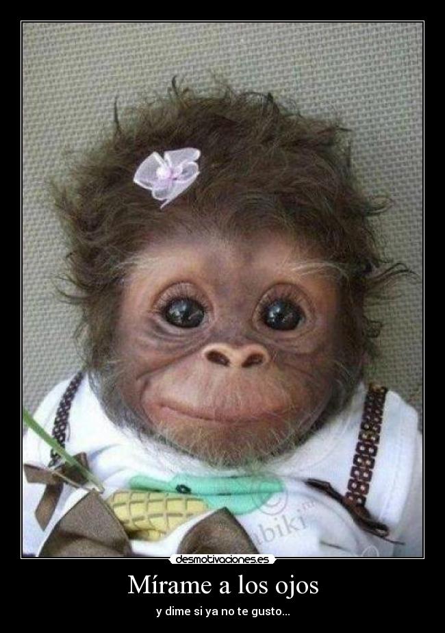 Mírame a los ojos -