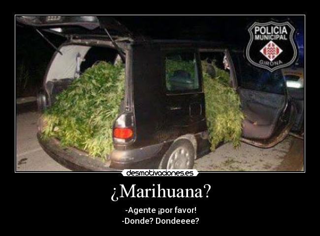 ¿Marihuana? - -Agente ¡por favor!
-Donde? Dondeeee?