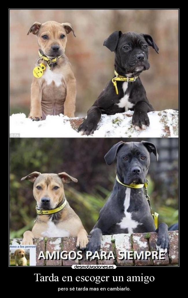 Tarda en escoger un amigo - pero sé tarda mas en cambiarlo.