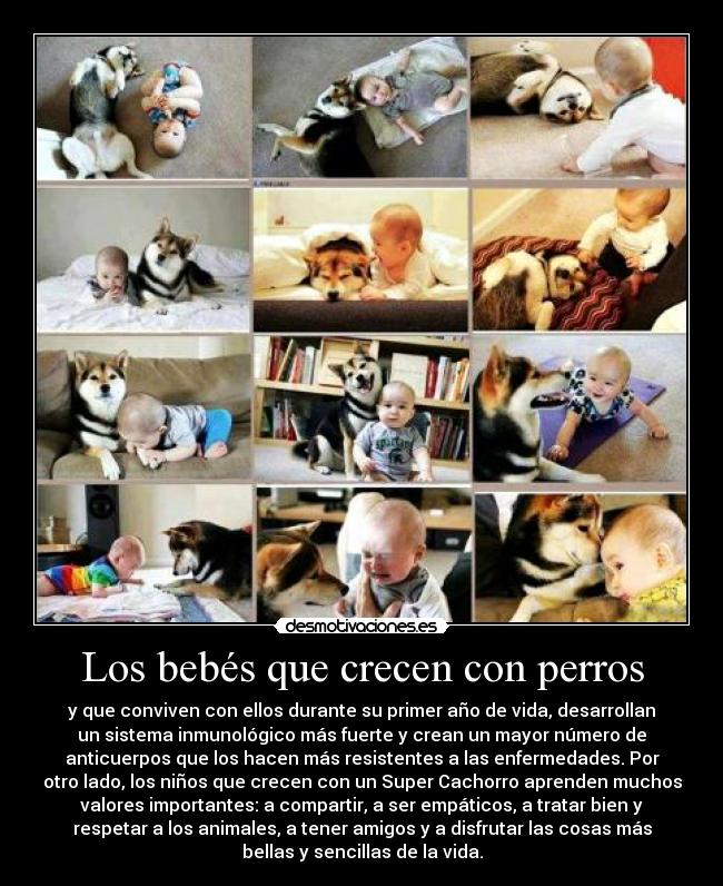 carteles ocsuhc quedate conmigo 253 desmopornositas intruders clantoto equanimal desmotivaciones