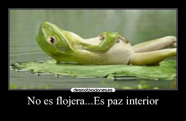 No es flojera...Es paz interior -
