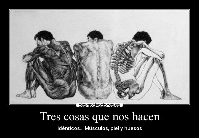 Tres cosas que nos hacen - idénticos... Músculos, piel y huesos