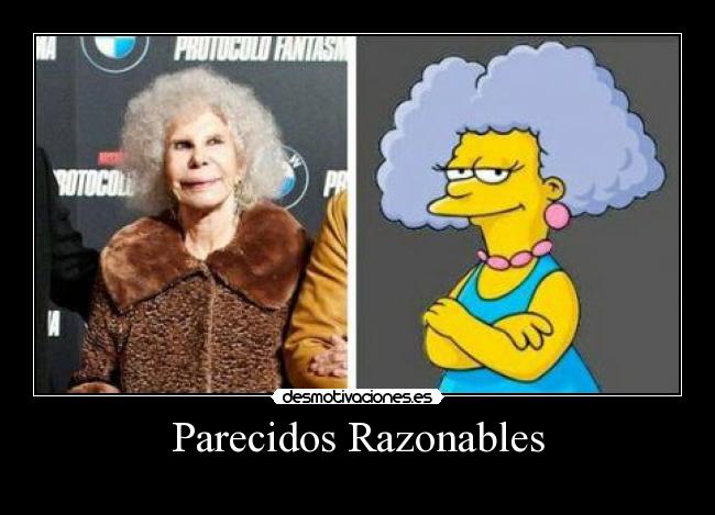 Parecidos Razonables - 