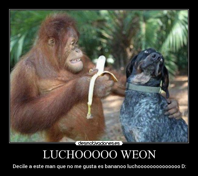 carteles  desmotivaciones