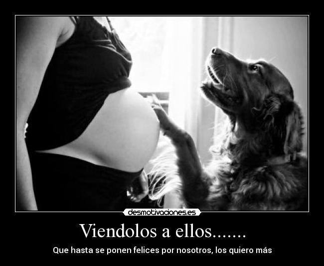 Viendolos a ellos....... - 