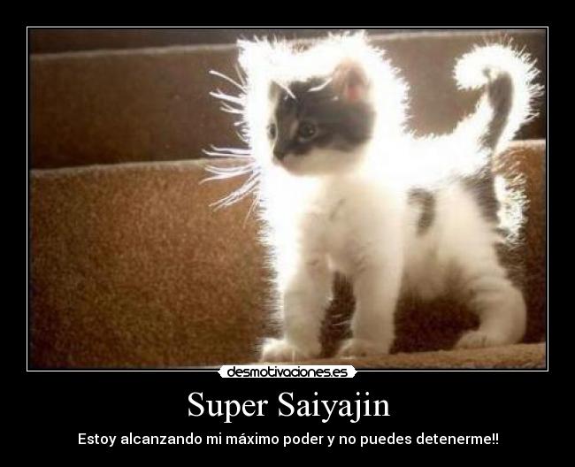 carteles super saiyajin gatito pelos brillo desmotivaciones