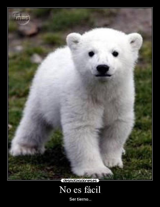 No es fácil -