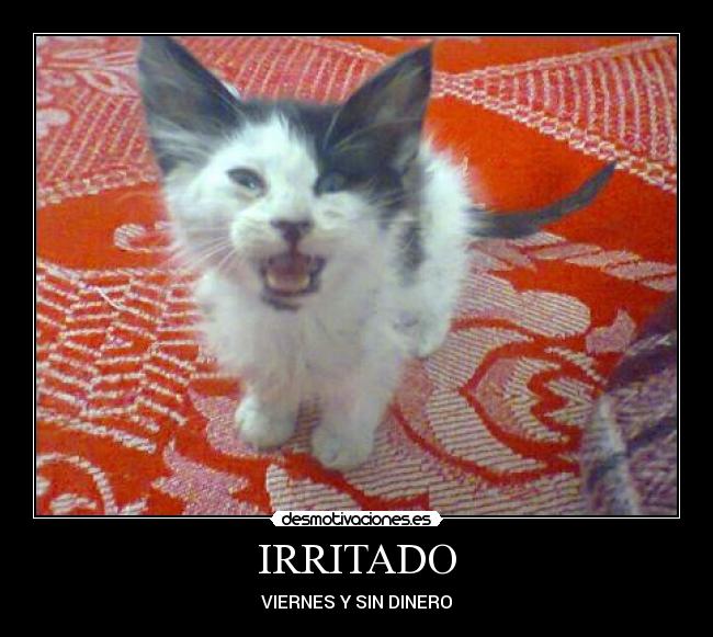 IRRITADO - VIERNES Y SIN DINERO