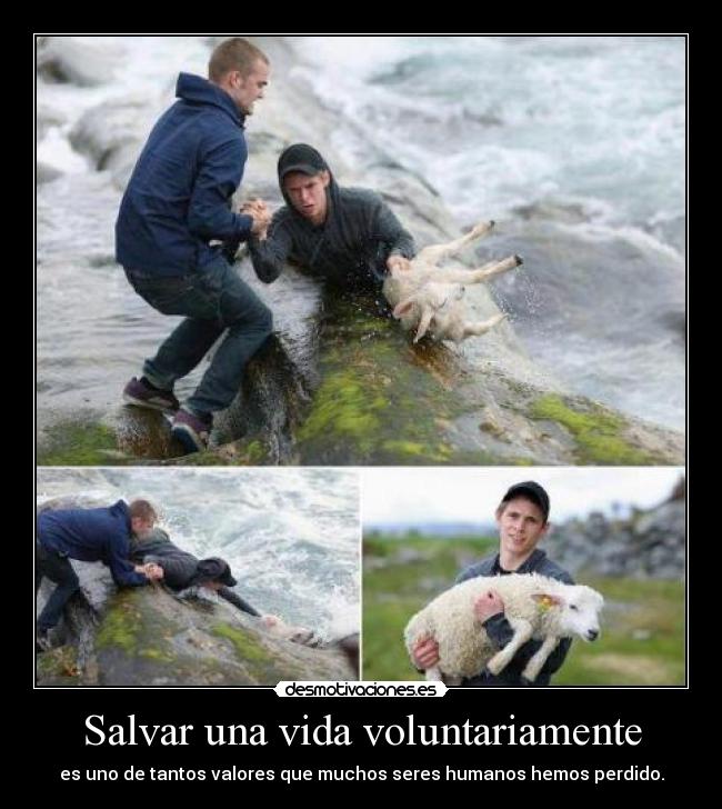 Salvar una vida voluntariamente - es uno de tantos valores que muchos seres humanos hemos perdido.