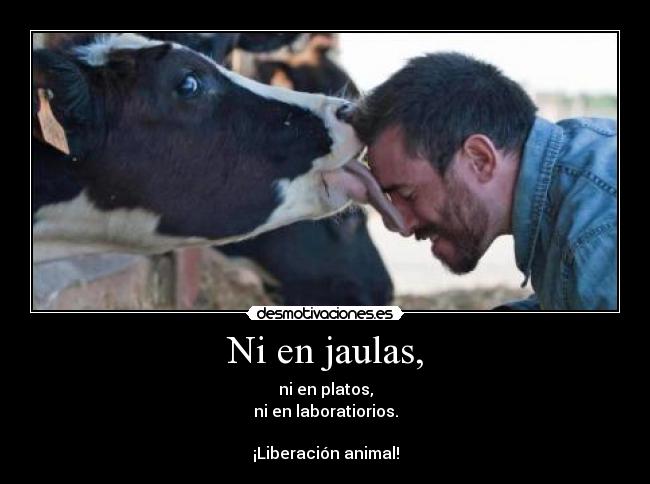Ni en jaulas, - ni en platos,
ni en laboratiorios.
¡Liberación animal!