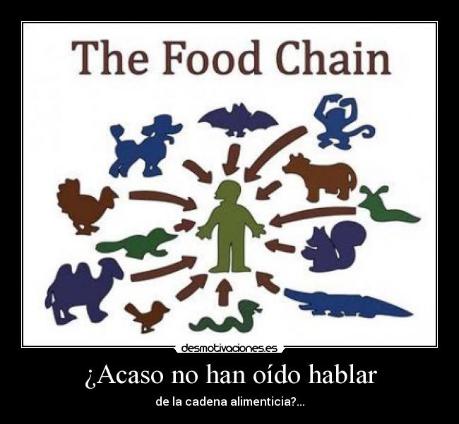 ¿Acaso no han oído hablar - 