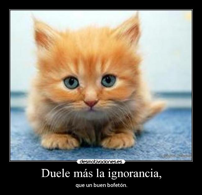 carteles ignorancia lalala desmotivaciones