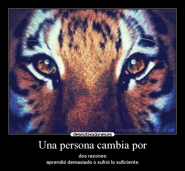Una persona cambia por - dos razones:
aprendió demasiado o sufrió lo suficiente.