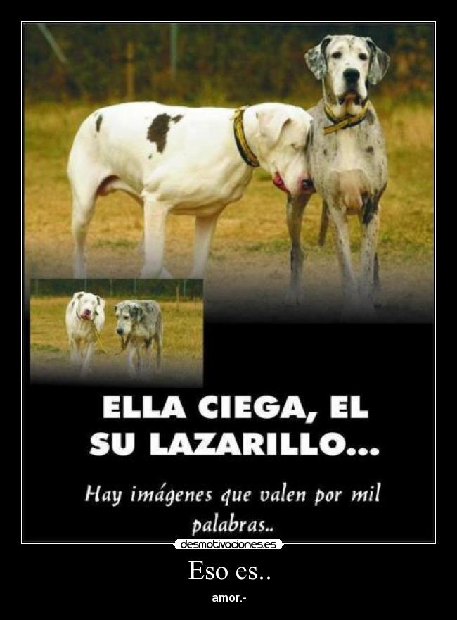 Eso es.. - amor.-