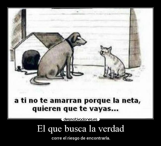 El que busca la verdad - corre el riesgo de encontrarla.