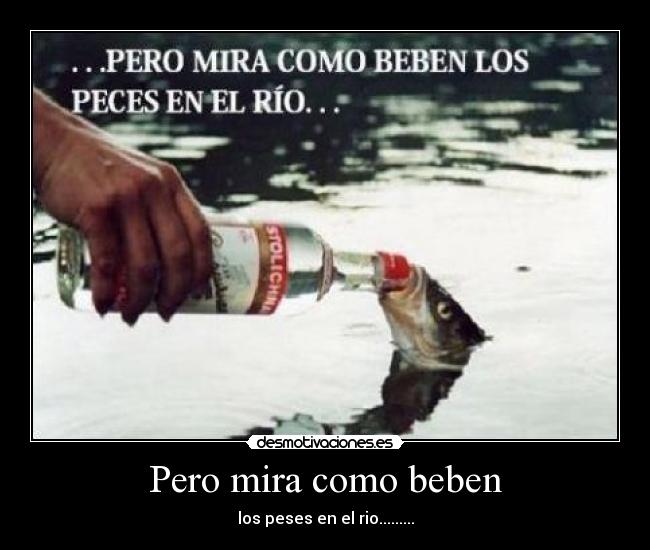 Pero mira como beben -