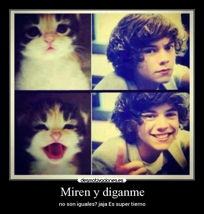 Miren y diganme - no son iguales? jaja Es super tierno