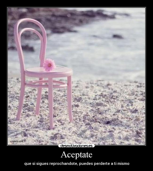 Aceptate -