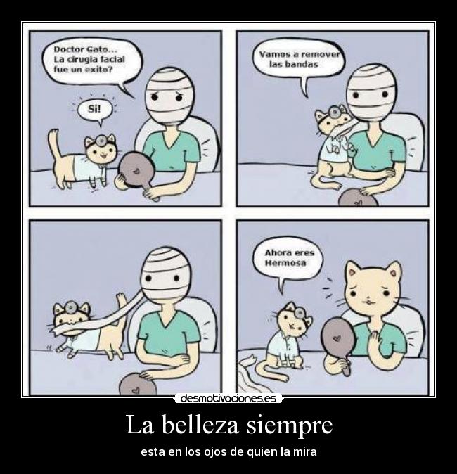 La belleza siempre - 