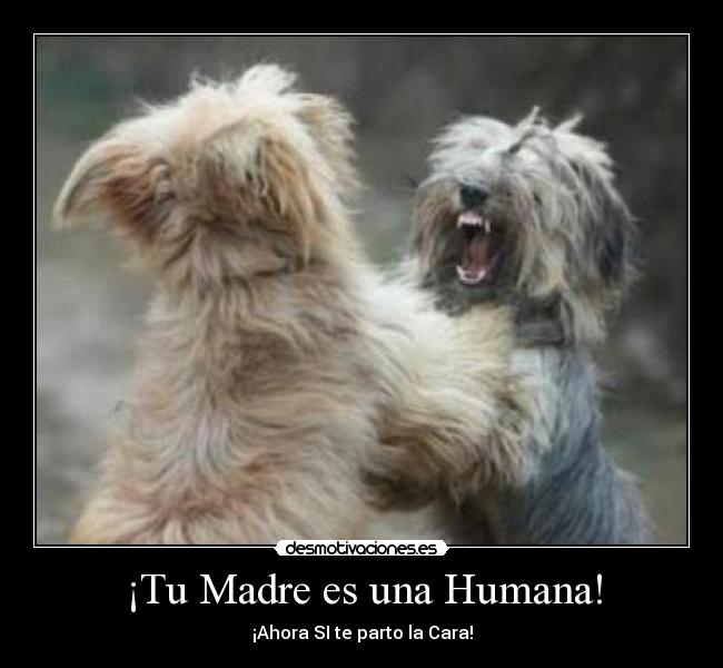 carteles madre mayarakg desmotivaciones