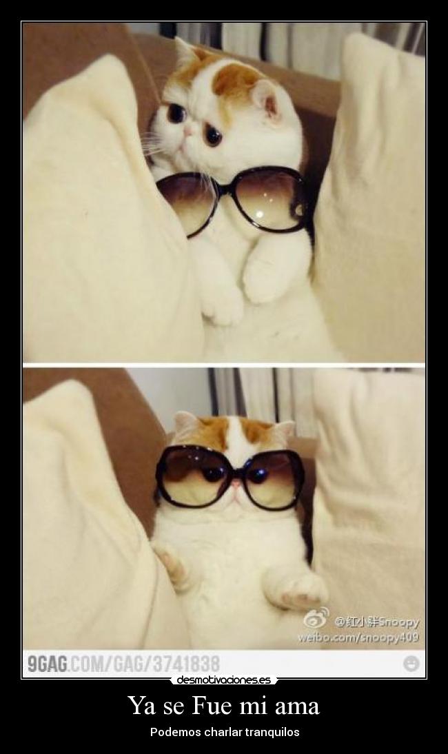 Ya se Fue mi ama - Podemos charlar tranquilos