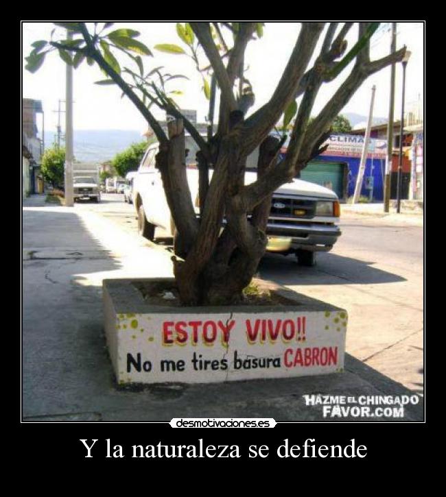 Y la naturaleza se defiende - 