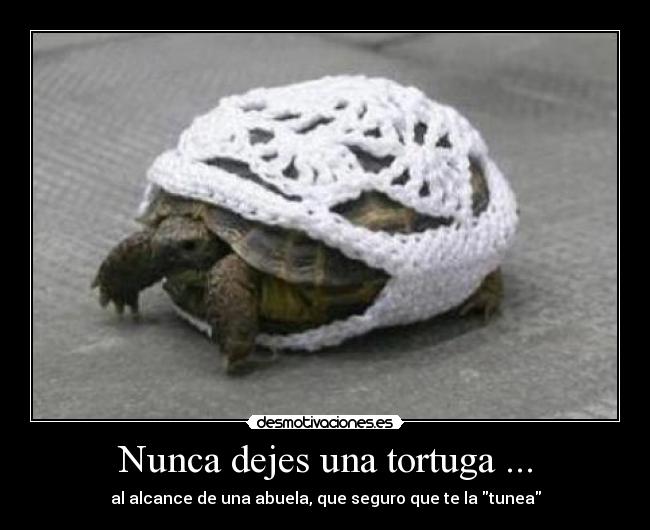 Nunca dejes una tortuga ... -