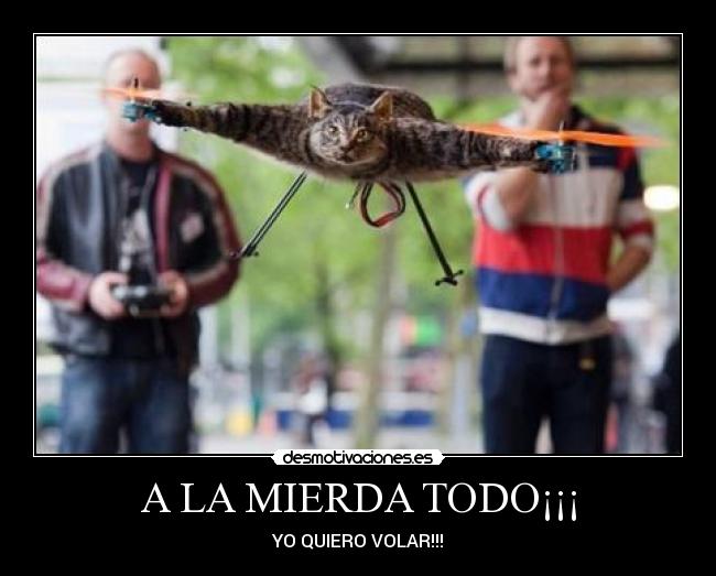 A LA MIERDA TODO¡¡¡ -