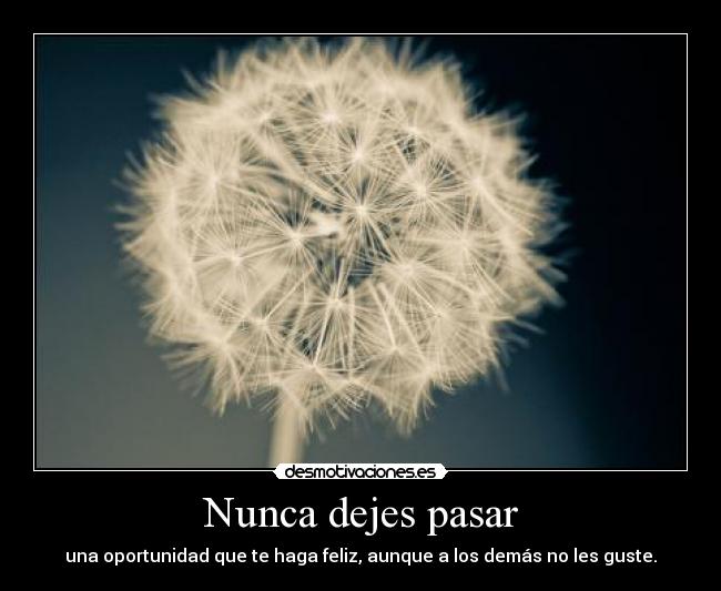 Nunca dejes pasar - 