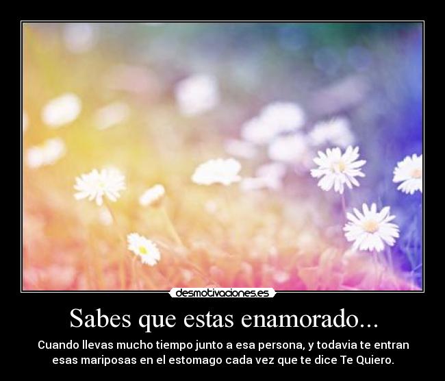 Sabes que estas enamorado... -