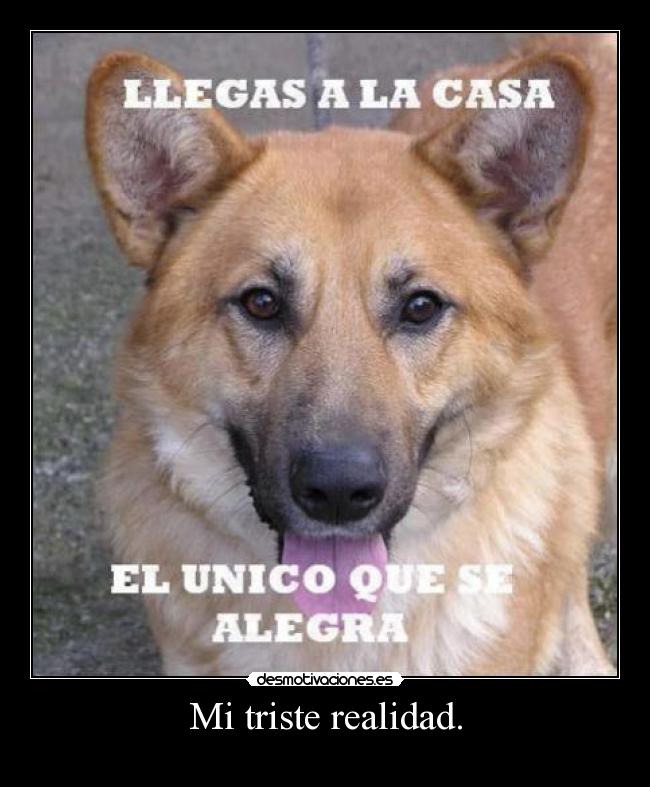 carteles bicocho22 desmotivaciones