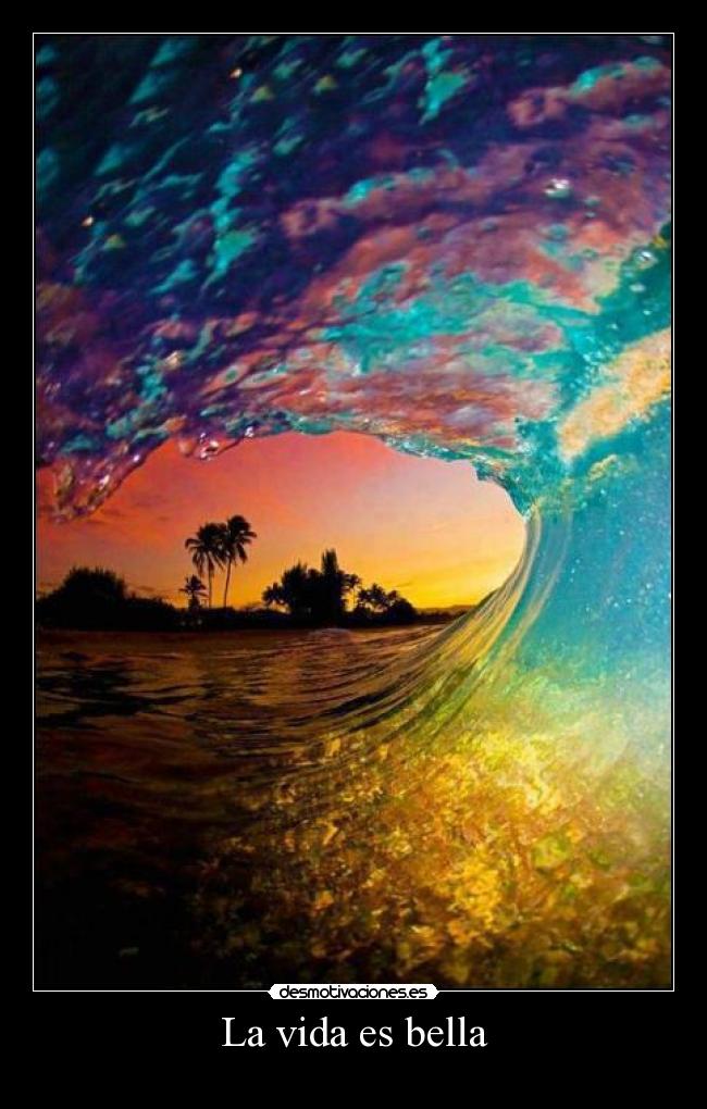 carteles vida carmenmark desmotivaciones