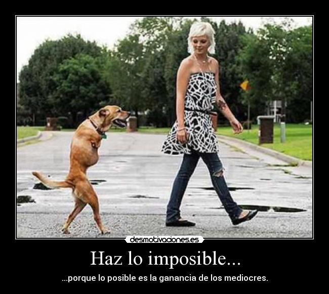 Haz lo imposible... - ...porque lo posible es la ganancia de los mediocres.