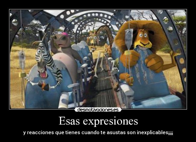 Esas expresiones - y reacciones que tienes cuando te asustas son inexplicables¡¡¡¡