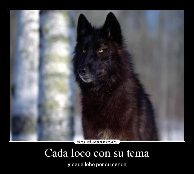 Cada loco con su tema -