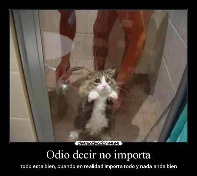 Odio decir no importa -