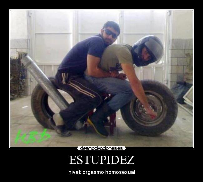 ESTUPIDEZ - nivel: orgasmo homosexual
