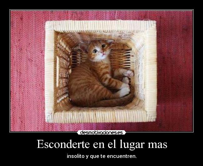 Esconderte en el lugar mas - insolito y que te encuentren.