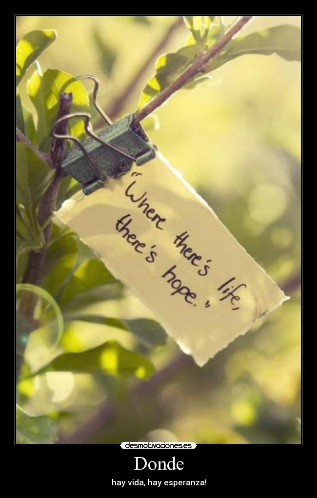 Donde - hay vida, hay esperanza!