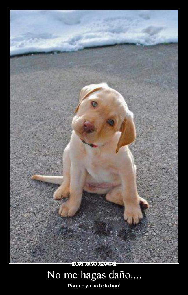 No me hagas daño.... - 