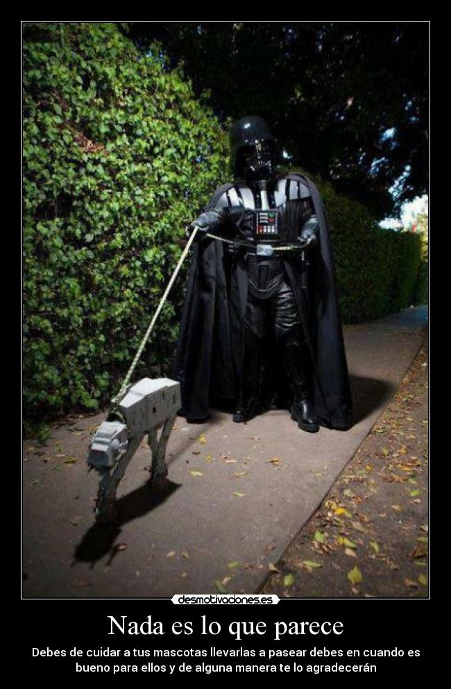 Nada es lo que parece -