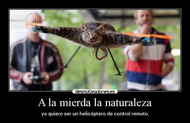 A la mierda la naturaleza - yo quiero ser un helicóptero de control remoto.