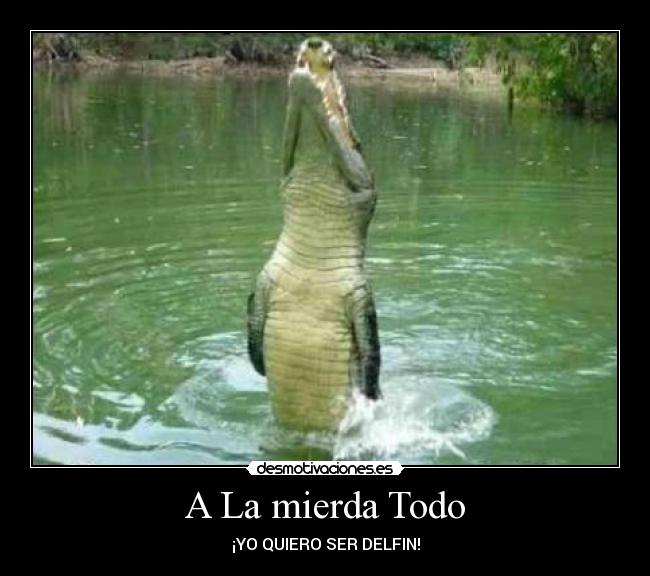 carteles cocodrilos desmotivaciones