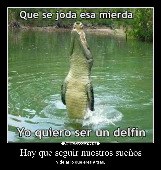 Hay que seguir nuestros sueños - y dejar lo que eres a tras.